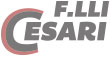 Logo Fratelli Cesari